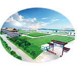 发展历程